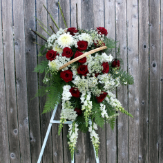 Category Image