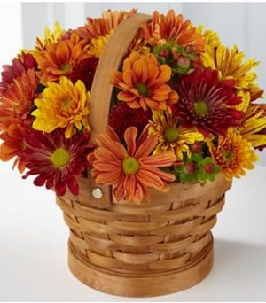 Basket of mixed fall pomps Delivered in all of Lorain County 