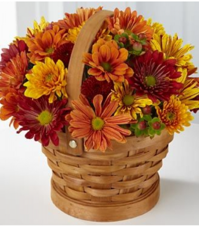 Basket of mixed fall pomps Delivered in all of Lorain County 