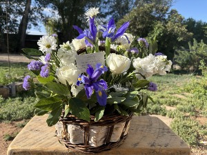 Basket Of Peace Sympathy Basket