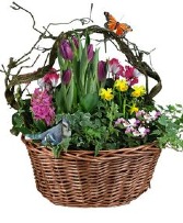 basket of spring  Easter 