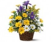 Think Spring basket Fresh Spring Flowers