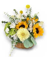 Basket of SunShine 