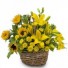 Basket of Sunshine Arrangement