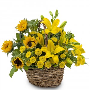 Basket of Sunshine Basket