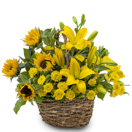 Basket of Sunshine Basket
