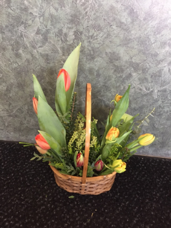 Basket of Tulips Arrangement