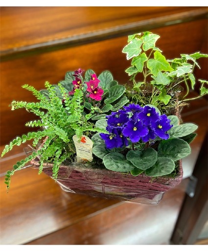 Basket of Violets Plant Basket