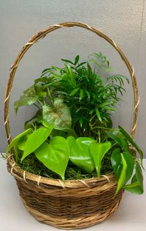 Basket Planter