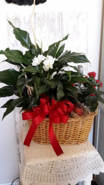 Basket with a bird Peace lilly and blooming plant