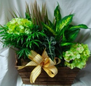 Basket with plants and silk flowers in it! 
