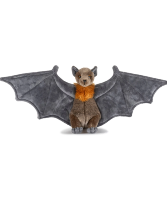 Bat Stuffed Animal 11'' Gift