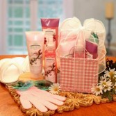 Bath Delights On The Go Tote