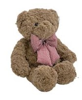 Baxter's Bears 