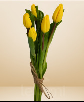 BC Tulip Bundle Program 