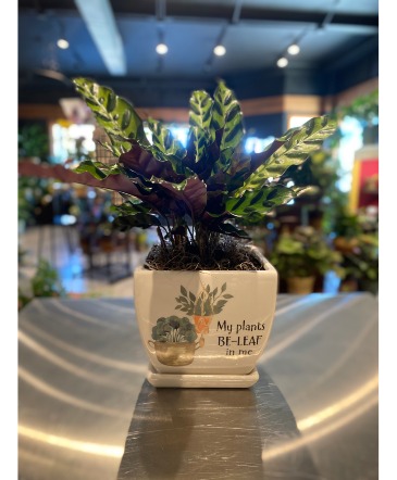 Be-Leaf in Me Planter in South Milwaukee, WI | PARKWAY FLORAL INC. Be-Leaf in Me Planter in South Milwaukee, WI | PARKWAY FLORAL INC.