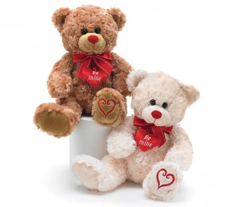 Be Mine Bear* Plush Gift