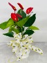 BE MY HONEY BEE  BLOOMING ANTHURIUM 