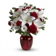 Category Image