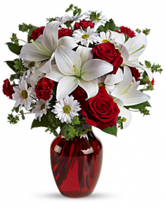 Category Image