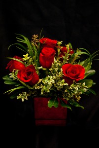 Classic Christmas Cube Roses in Corner Brook, NL | The Orchid Classic Christmas Cube Roses in Corner Brook, NL | The Orchid
