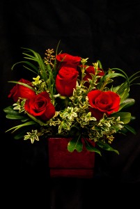 Classic Christmas Cube Roses