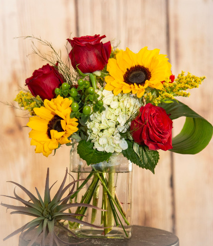 Beams of Sunshine Arrangement
