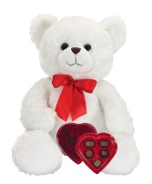 Bear & Chocolates  Gift Set