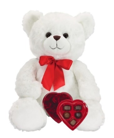 Bear & Chocolates  Gift Set in Whitesboro, NY | KOWALSKI FLOWERS INC.