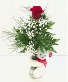 Bear Hug Vase with 1 rose  
