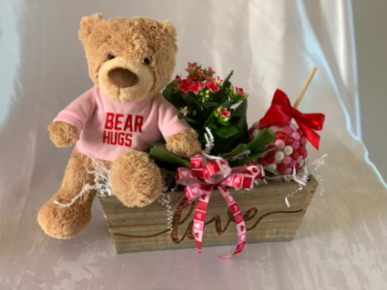Bear Hugs Valentine's Day