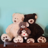 Bear Plush