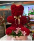 Bear Red carnations 