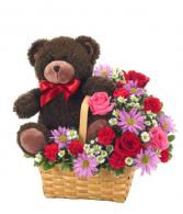 Bearing my Heart 