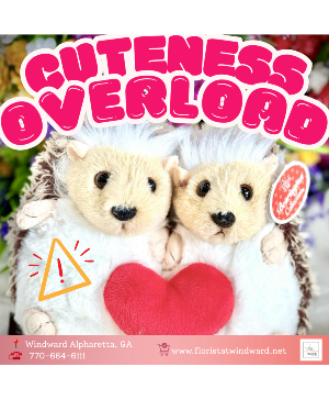 Bearington Collection - Lovie & Dovey the Hedgehog Gift Items - Flushies