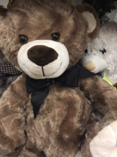 Bears!