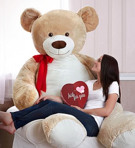 teddy bear price 300