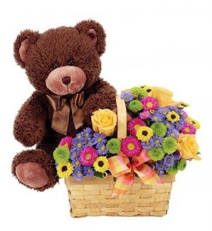 Beary Happy Day in Arlington, TX | Erinn's Creations Florist Beary Happy Day in Arlington, TX | Erinn's Creations Florist