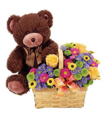 Beary Happy Day