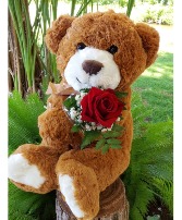 Beary in Love 