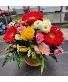 Beautiful Bloom 