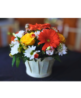 Beautiful Bloom 