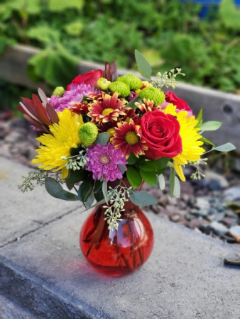 Beautiful Blooms