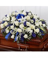 Beautiful blue and white half casket  