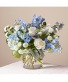 Beautiful Blue everyday