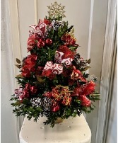 Beautiful Boxwood Tree Boxwood Tree