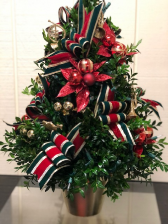 Beautiful Boxwood Tree Boxwood Tree in Fairfield, CT | Blossoms at Dailey's Flower Shop