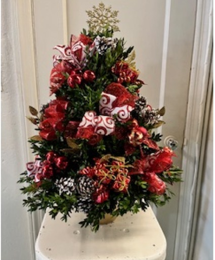 Beautiful Boxwood Tree Boxwood Tree