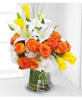 beautiful calla lilies  vased