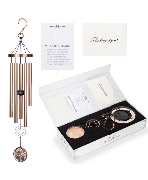 Beautiful Chimes Boxed Set Chimes